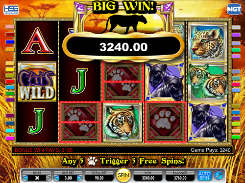 Cats slots free online
